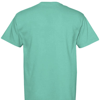 CHALKY MINT - C1717 - BACK